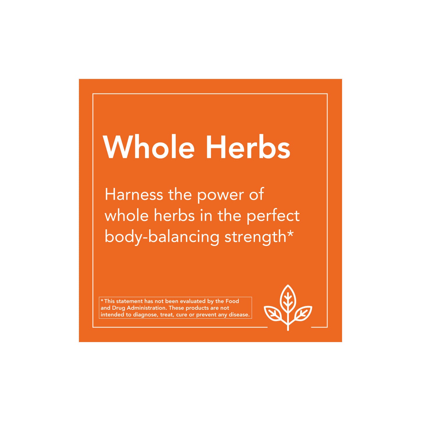 NOW Foods, Black Walnut Hulls, 500 mg, 100 Veg Capsules