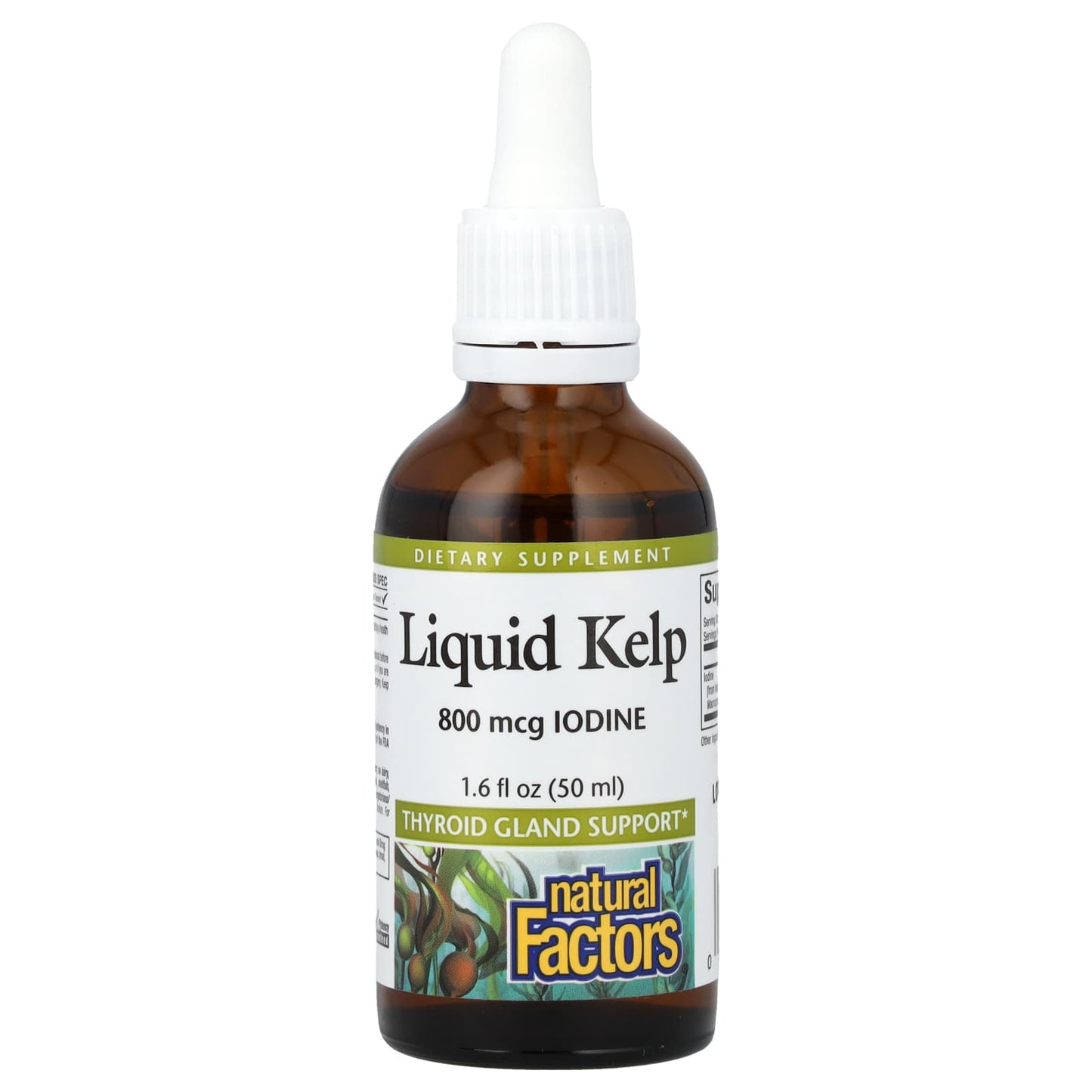 Natural Factors-Liquid Kelp-800 mcg-1.6 fl oz (50 ml)