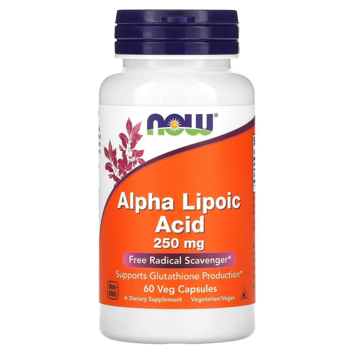 NOW Foods-Alpha Lipoic Acid-250 mg-60 Veg Capsules
