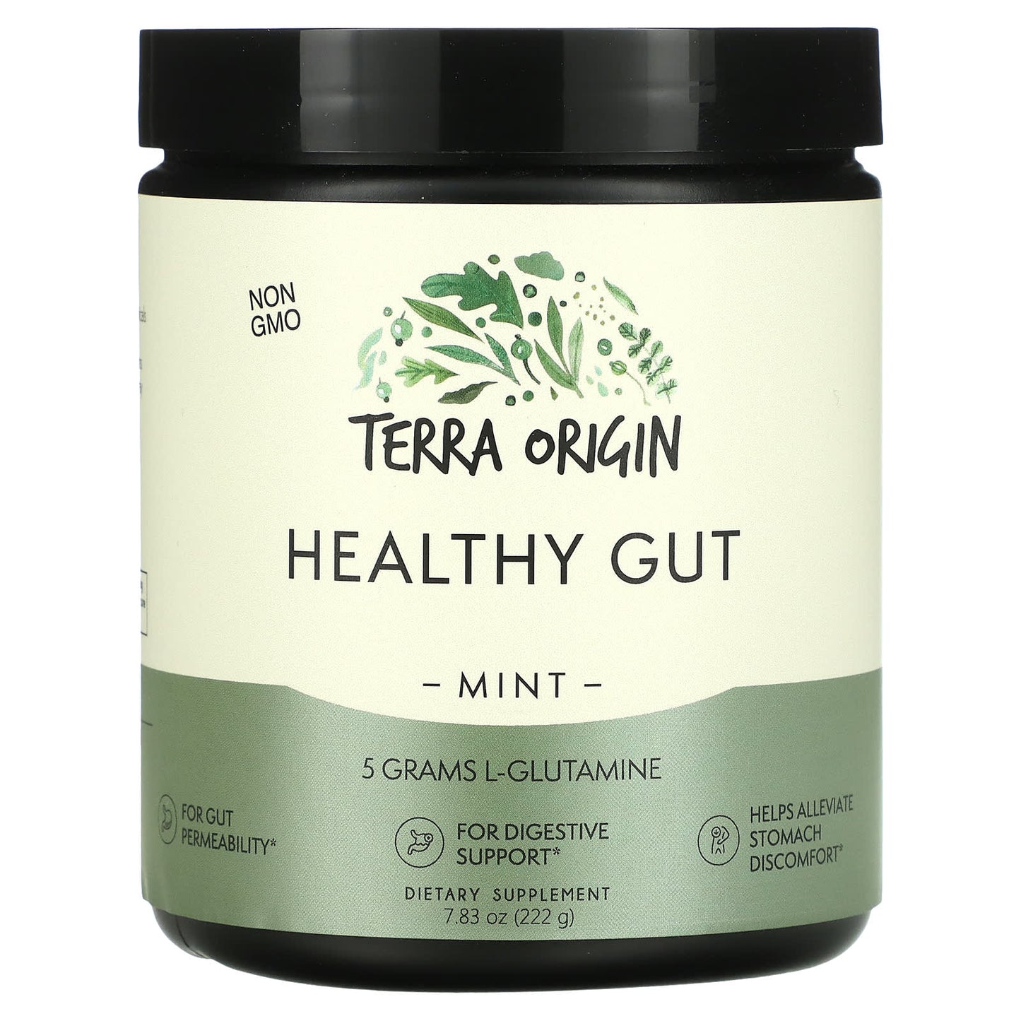 Terra Origin-Healthy Gut-Mint-7.83 oz (222 g)