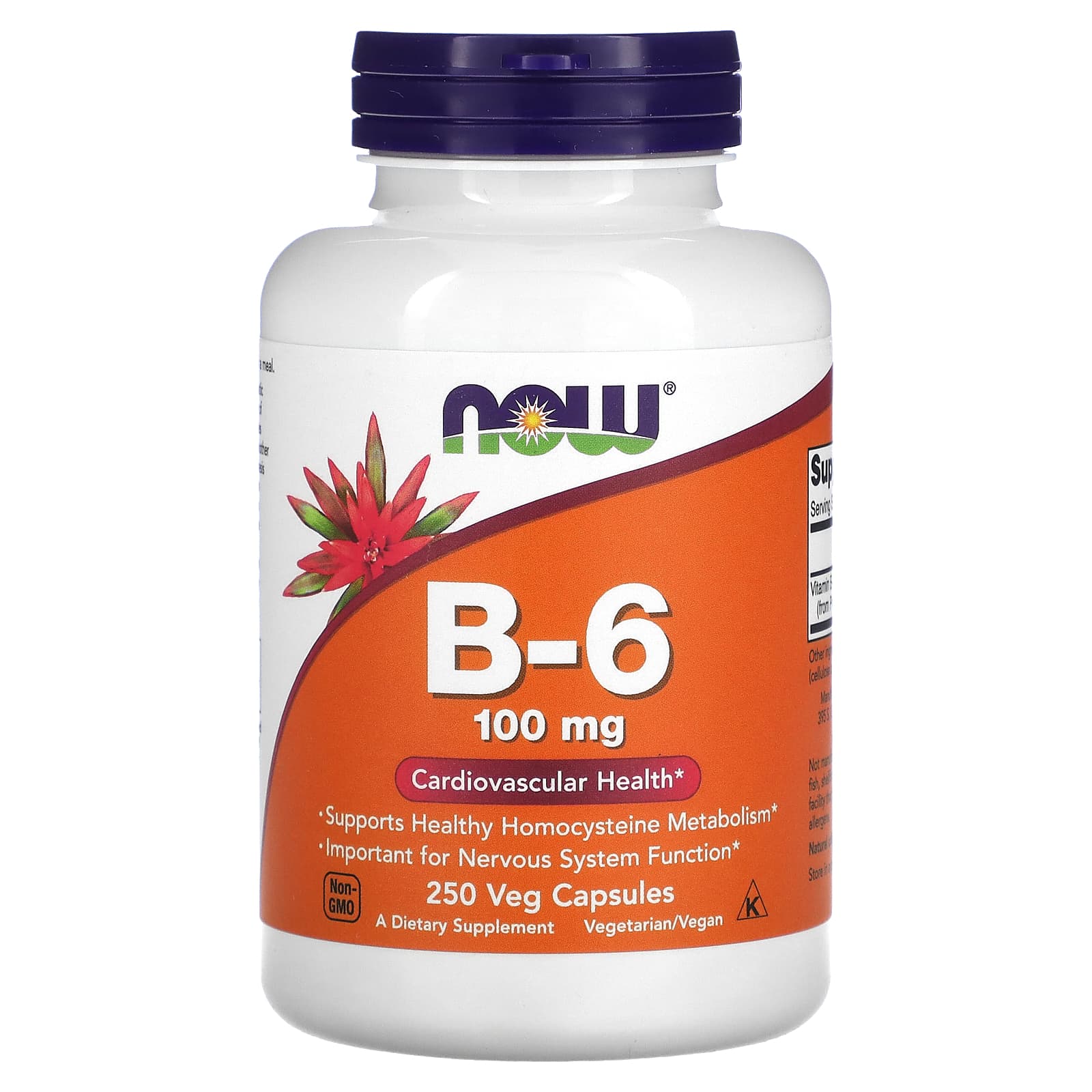 NOW Foods-B-6-100 mg-250 Veg Capsules