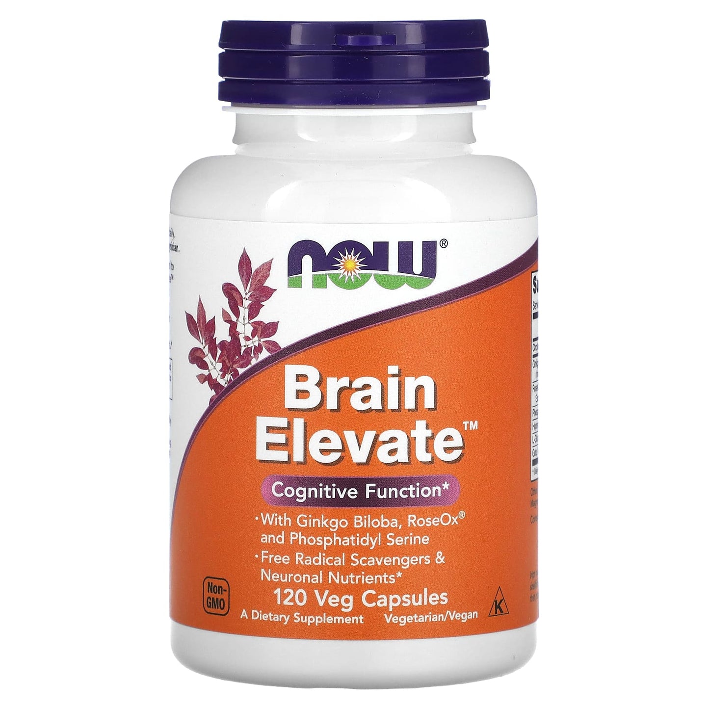 NOW Foods-Brain Elevate-120 Veg Capsules
