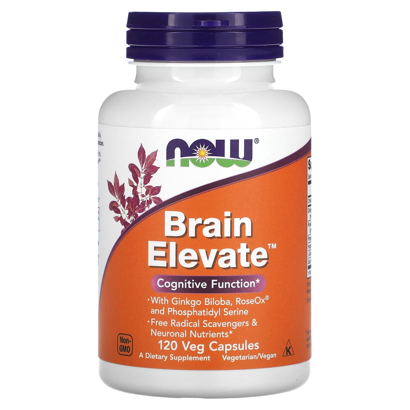 NOW Foods-Brain Elevate-120 Veg Capsules