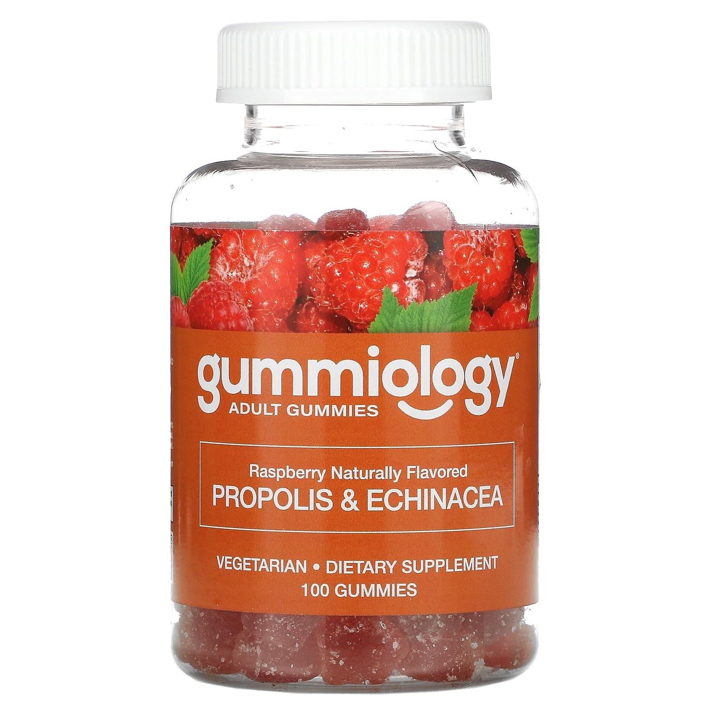 Gummiology-Adult Propolis & Echinacea Gummies-No Gelatin-Natural Raspberry-100 Vegetarian Gummies