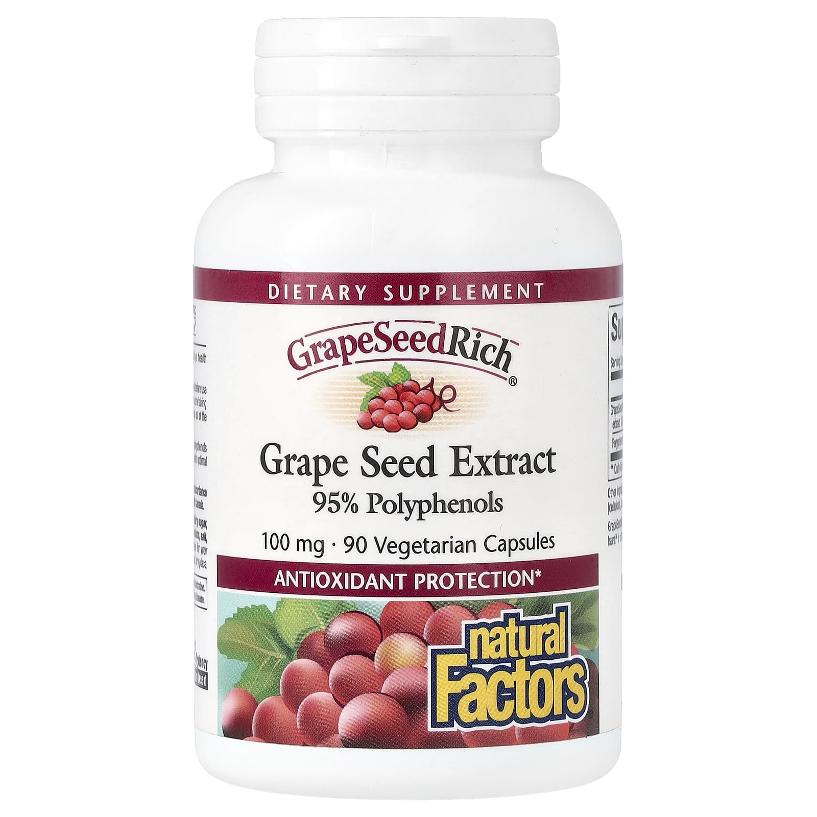 Natural Factors-GrapeSeedRich-Grape Seed Extract-100 mg-90 Vegetarian Capsules