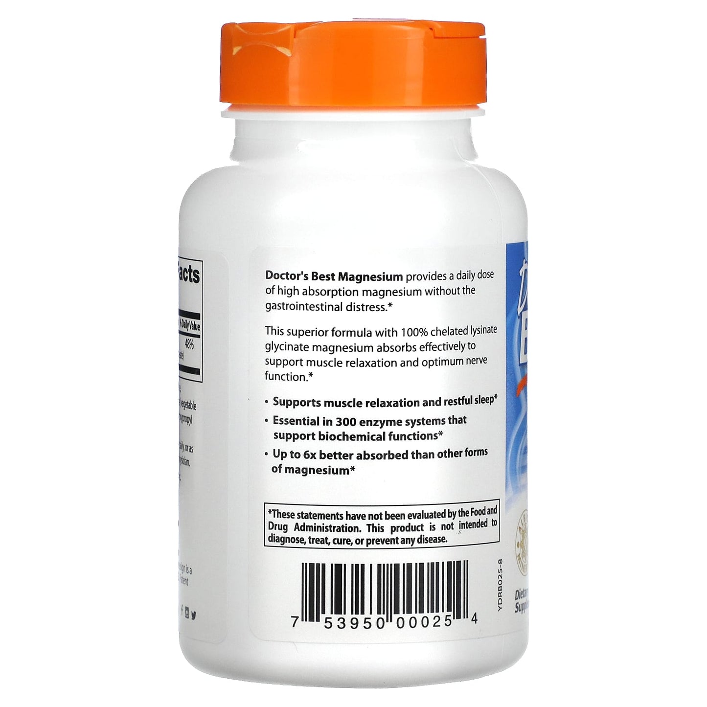 Doctor's Best, High Absorption Magnesium, 100 mg, 120 Tablets